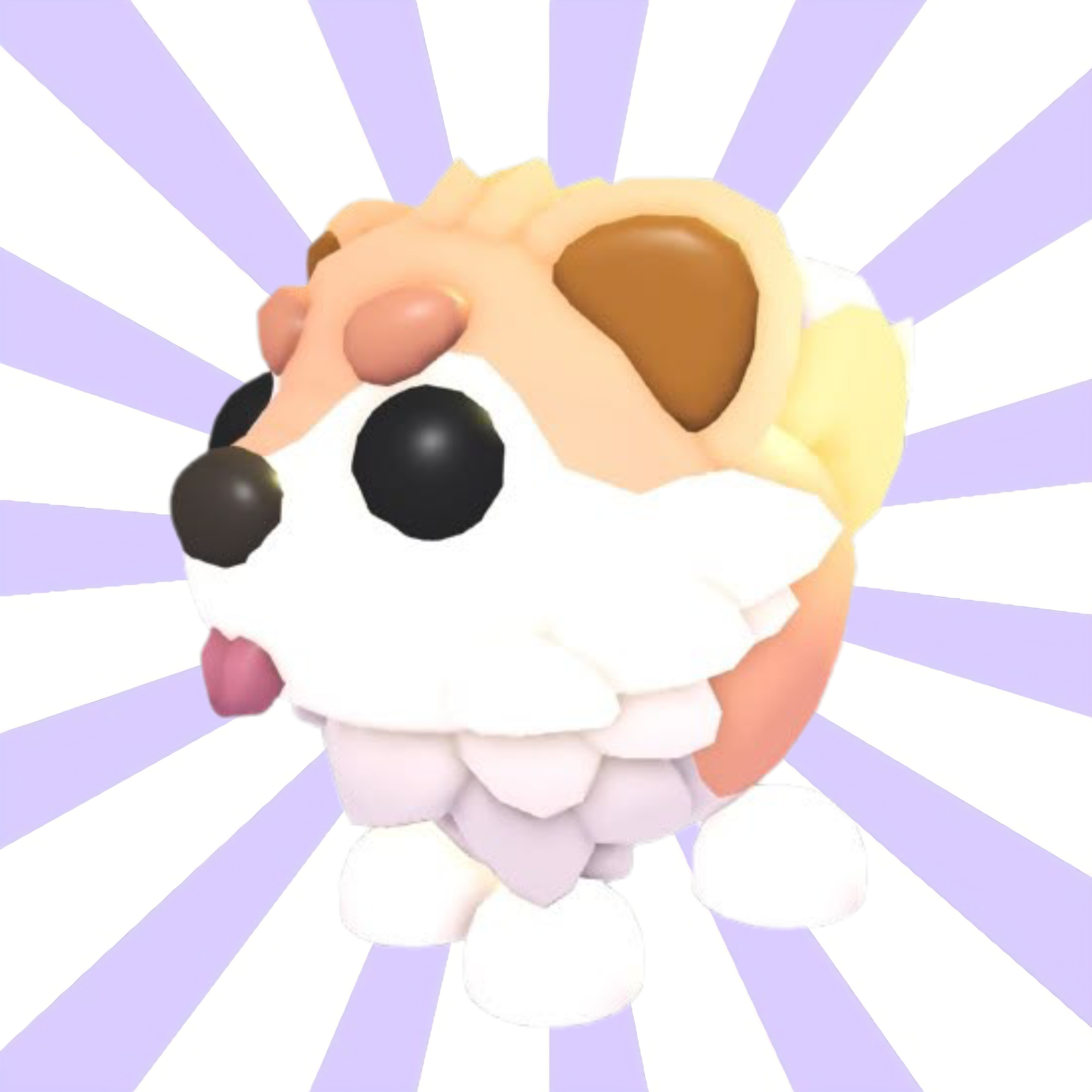PET 2